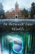 In Between Two Worlds - Bild 1