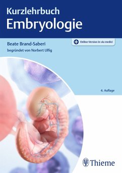 Kurzlehrbuch Embryologie - Brand-Saberi, Beate