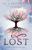 Lost (eBook, ePUB)