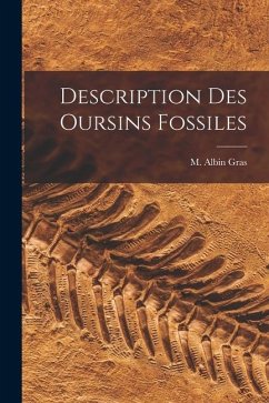 Description Des Oursins Fossiles - Gras, M. Albin