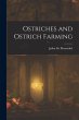 Ostriches and Ostrich Farming - Bild 1