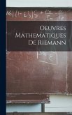 Oeuvres Mathematiques De Riemann