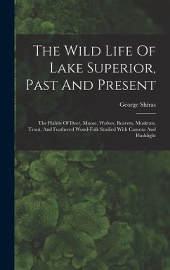 The Wild Life Of Lake Superior, Past And Present - Shiras, George