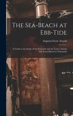 The Sea-beach at Ebb-tide - Arnold, Augusta Foote