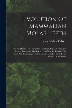 Cover Evolution Of Mammalian Molar Teeth: To And From The Triangular Type Including Collected And Revised Researches Trituberculy And New Sections On The Fo