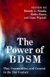 The Power of Bdsm - Bild 1