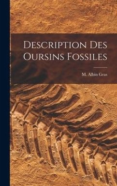 Description Des Oursins Fossiles - Gras, M. Albin