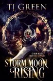 Storm Moon Rising (Storm Moon Shifters, #1) (eBook, ePUB)