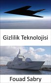 Gizlilik Teknolojisi (eBook, ePUB)