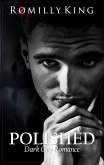 Polished (Handled, #3) (eBook, ePUB)