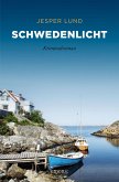 Schwedenlicht (eBook, ePUB)