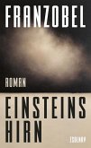 Einsteins Hirn (eBook, ePUB)