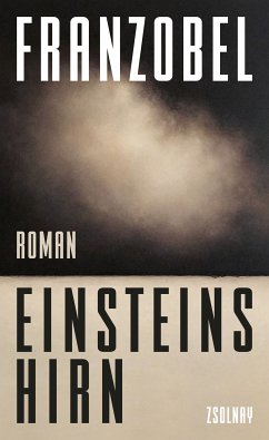 Einsteins Hirn (eBook, ePUB) - Franzobel