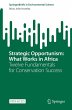 Strategic Opportunism: What Works in... - Bild 1