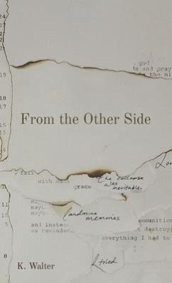 From the Other Side (eBook, ePUB) - Walter, K.