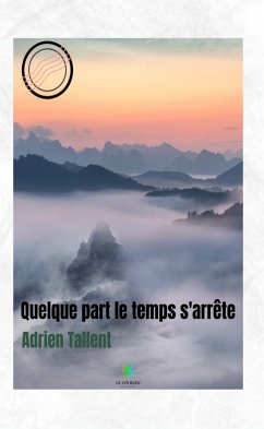 Quelque part le temps s'arrête (eBook, ePUB) - Tallent, Adrien