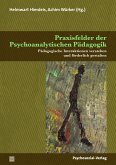 Praxisfelder der Psychoanalytischen Pädagogik (eBook, PDF)