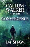 The Convergence (eBook, ePUB)