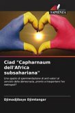 Ciad &quote;Capharnaum dell'Africa subsahariana&quote;