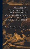 A Descriptive Catalogue of the Specimens in the Mortimer Museum of Archæology and Geology at Driffield