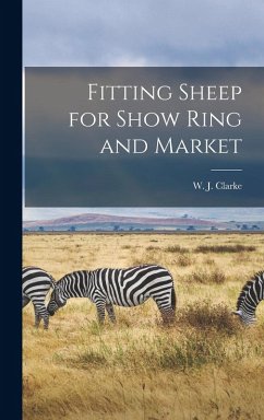 Cover Fitting Sheep for Show Ring and Market