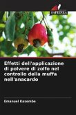 Effetti dell'applicazione di polvere di zolfo nel controllo della muffa nell'anacardo