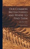 Our Common British Fossils and Where to Find Them