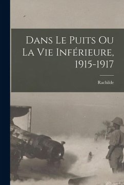 Cover Dans le puits ou La vie inférieure, 1915-1917