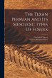 The Texan Permian And Its Mesozoic... - Bild 1