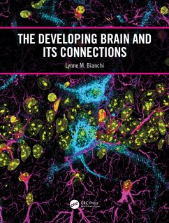 The Developing Brain and its Connections (eBook, ePUB) - Bianchi, Lynne M.
