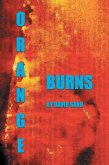 Orange Burns (eBook, ePUB)