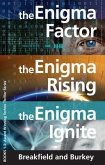 The Enigma Factor, Rising, Ignite - Boxed Set (eBook, ePUB)