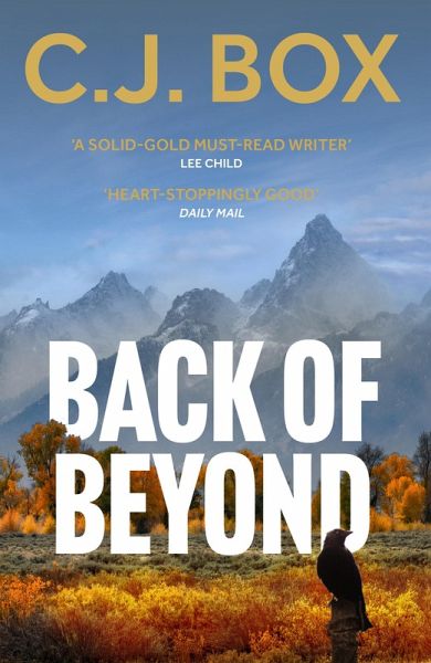 Back of Beyond (eBook, ePUB)