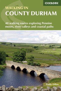 Walking in County Durham (eBook, ePUB) - Dillon, Paddy