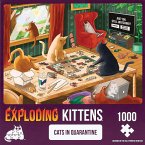 Asmodee EXKD0033 - Exploding Kittens Puzzle, Cats in Quarantine, 1000 Teile