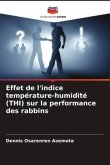 Effet de l'indice température-humidité (THI) sur la performance des rabbins