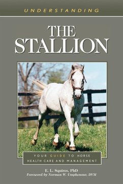 Understanding the Stallion - Squires, E. L.