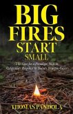 Big Fires Start Small (eBook, ePUB)