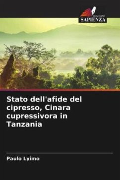 Stato dell'afide del cipresso, Cinara cupressivora in Tanzania - Lyimo, Paulo
