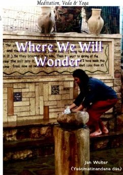 Where We Will Wonder - Wolter, Jan