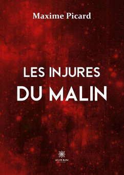 Les injures du malin - Maxime Picard