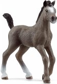 Schleich 13957 - Horse Club, Cheval de Selle Francais Fohlen, Pferd, Tierfigur