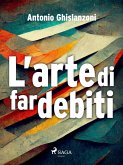 L'arte di far debiti (eBook, ePUB)