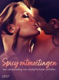 Spicy ontmoetingen: een verzameling van erotische korte verhalen (eBook, ePUB) Spicy ontmoetingen: een verzameling van erotische korte verhalen (eBook, ePUB)