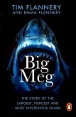 Big Meg (eBook, ePUB)