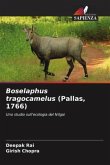 Boselaphus tragocamelus (Pallas, 1766)