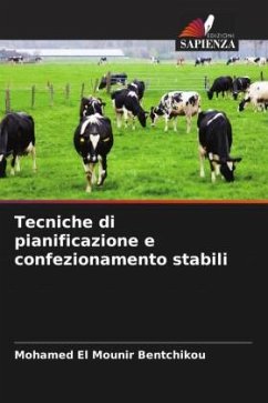 Tecniche di pianificazione e confezionamento stabili - Bentchikou, Mohamed El Mounir