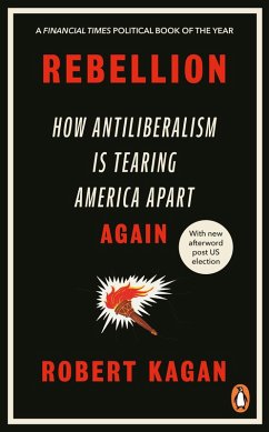 Cover Rebellion (eBook, ePUB)