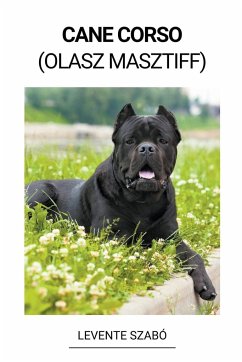 Cane Corso (Olasz Masztiff) - Szabó, Levente