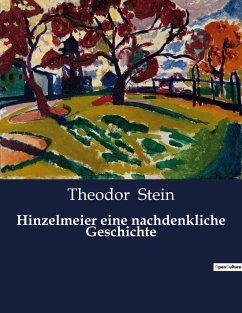 Hinzelmeier eine nachdenkliche Geschichte - Stein, Theodor